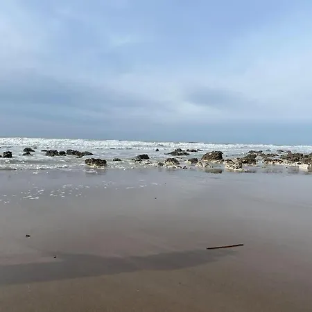 Yvonne M&m A 50m De La