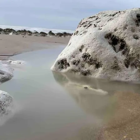 דירה Yvonne M&m A 50m De La מרס-לה-באן